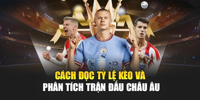Cách đọc tỷ lệ kèo và phân tích trận đấu châu âu