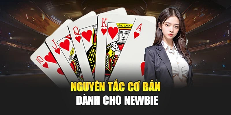 Nguyên tắc cơ bản dành cho newbie