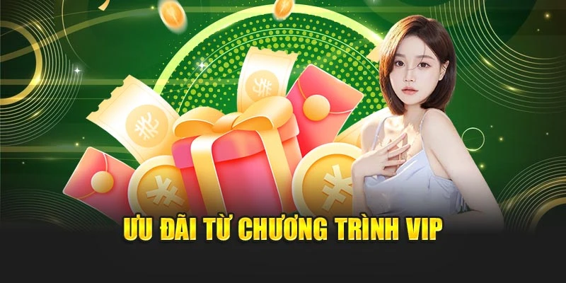 Ưu đãi từ chương trình vip