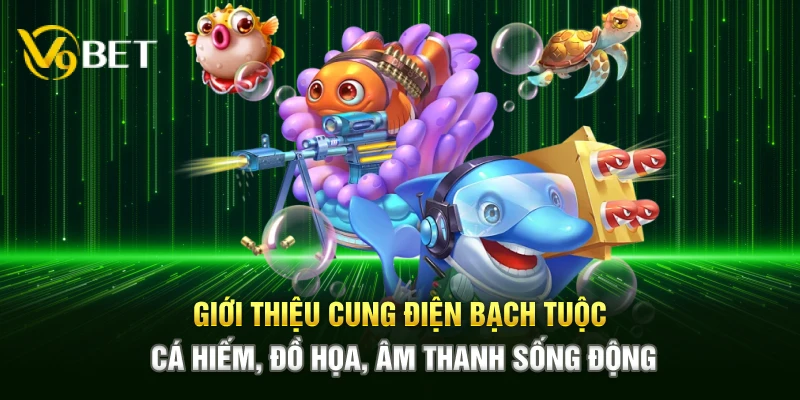 Giới thiệu Cung Điện Bạch Tuộc – Cá hiếm, đồ họa, âm thanh sống động