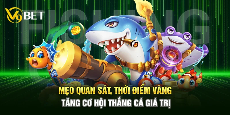 Mẹo quan sát, thời điểm vàng – Tăng cơ hội thắng cá giá trị